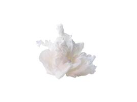 Front view of screwed or crumpled tissue paper ball after use in toilet or restroom isolated on white background with clipping path photo