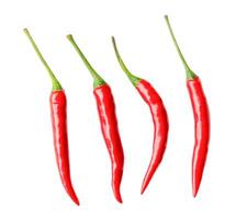 Top view set of red chili peppers or cayenne pepper isolated on white background with clipping path photo