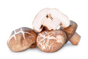 Front view of Fresh and dry shiitake mushrooms in stack isolated on white background photo