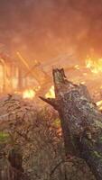 brandend houten huis in oud dorp video