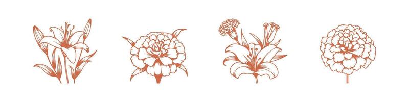 Hand drawn floral elements design in line art style. botanical, branches, leaves, plants, herbs illustration vector