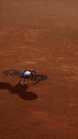 insight mars explorant la surface de la planète rouge. éléments fournis par la nasa. video