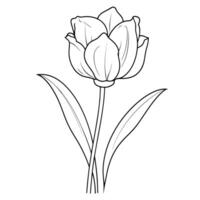 elegante tulipán contorno icono en formato para floral diseños vector
