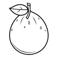 outline of a fresh yuzu fruit icon. vector