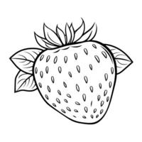 outline of a ripe strawberry icon. vector