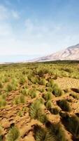 A vast desert landscape with majestic mountains in the distance video