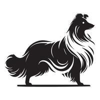 Shetland perro pastor - un sheltie elegante contorno ilustración en negro y blanco vector