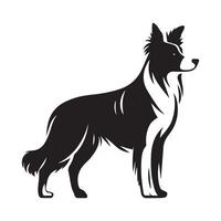 Dog - A Border Collie The Alert Sentry illustration in black and white vector