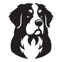 Dog - A Stoic Bernese Mountain Dog face illustration in black and white vector