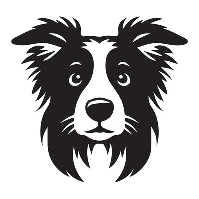 Dog - An Anxious Border Collie dog face illustration in black and white