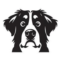 Dog - An Anxious Bernese Mountain Dog face illustration in black and white vector