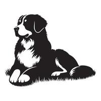 Dog - A Bernese Resting in a rustic setting illustration in black and white vector