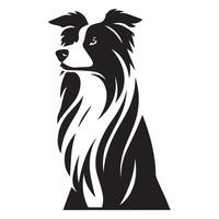 Dog - A Dignified Border Collie dog face illustration in black and white vector