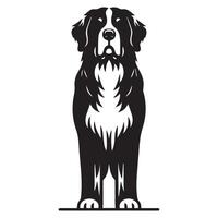 Dog - A Proud Bernese Mountain Dog face illustration in black and white vector