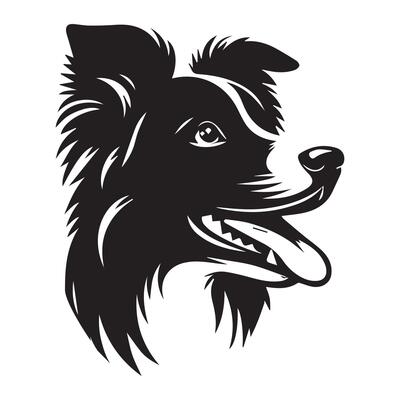 Dog - A Playful Border Collie dog face illustration in black and white