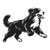 Dog - A Bernese joyful trot illustration in black and white vector