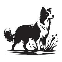 perro - juguetón frontera collie agua ilustración en negro y blanco vector