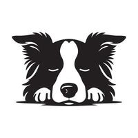 Dog - A Sleepy Border Collie dog face illustration in black and white vector