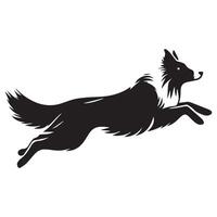 perro - ágil frontera collie en acción ilustración en negro y blanco vector