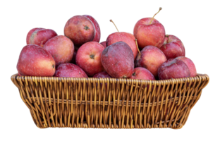 Apfel im Rattan Korb png