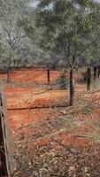 old rusted small farm fence video