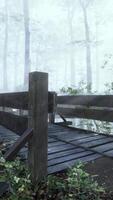 Holzstufen im Wald verschwanden im dichten Nebel video