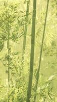 boschetto di bambù in una fitta nebbia video