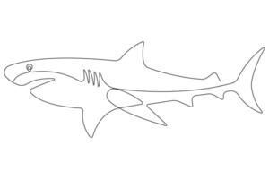 One continuous single line art drawing of shark sea fish underwater outline minimalist illustration vector