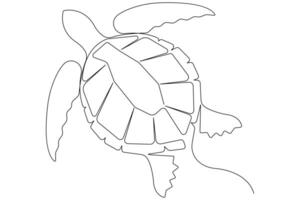 Continuous one line art drawing of sea turtle concept of outline minimalist illustration vector