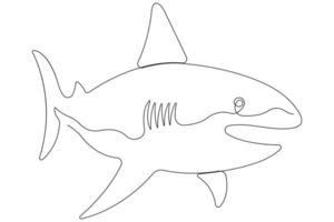 One continuous single line art drawing of shark sea fish underwater outline minimalist illustration vector