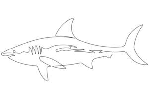 One continuous single line art drawing of shark sea fish underwater outline minimalist illustration vector