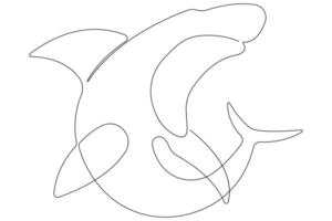 One continuous single line art drawing of shark sea fish underwater outline minimalist illustration vector