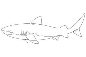 One continuous single line art drawing of shark sea fish underwater outline minimalist illustration vector