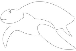 Continuous one line art drawing of sea turtle concept of outline minimalist illustration vector
