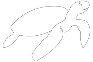 Continuous one line art drawing of sea turtle concept of outline minimalist illustration vector