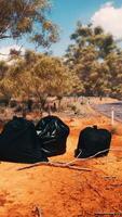 dois bolsas em repouso em beira da estrada video