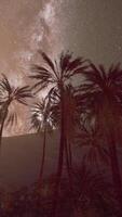palm bomen en melkachtig manier in achtergrond video