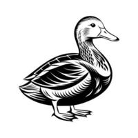 Duck Silloutte vectorr art vector