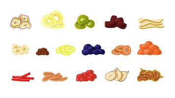 Set of illustrations of dried fruits in a flat cartoon style vector