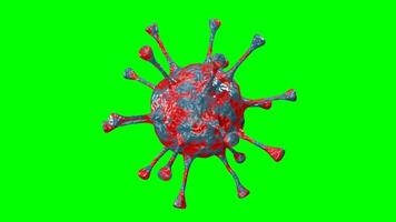 Real Animated 3d virus red and blue video