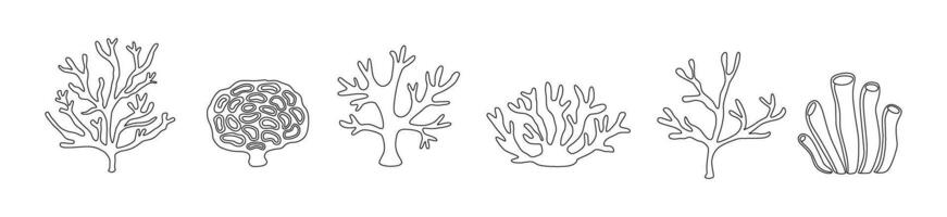 Linear corals set. Undersea plants and flora. Line art. Outline seaweed. Black and white contour. Coloring page. vector