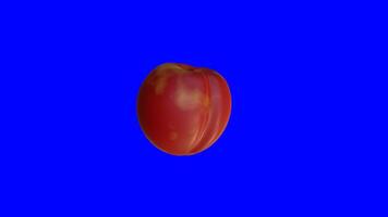 Animated 3d Nectarine fruit on a blue background video