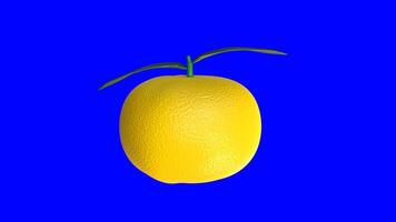 3d animatie van een roterend yuzu fruit Aan een blauw achtergrond video