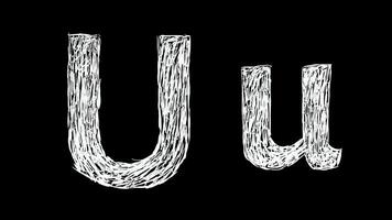 Animation of Letter U in handwritten style, scribbled alphabet on black background video