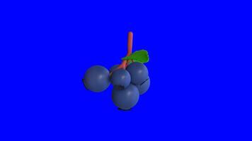 3d animation of rotating Huckleberry berries on a blue background video