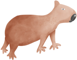 brown capybara created by water color painting png