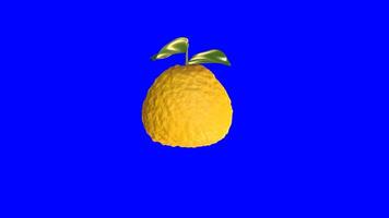 3d animation of a rotating Ugli fruit on a blue background. 3d rendering video