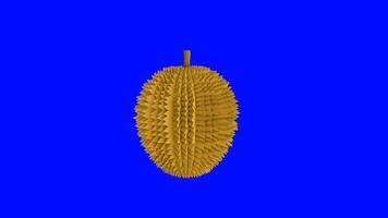 3d Animation von Durian auf Blau Hintergrund video