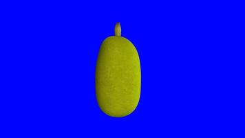 Animated 3d jackfruit rotating on a blue background. 3d rendering. 4k video