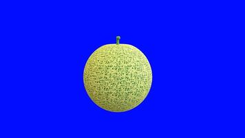 3d animation of melon fruit on blue background. 3d rendering. 4k video